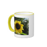 Sunflower mugs