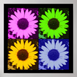Sunflower Multi-Colour Poster posters