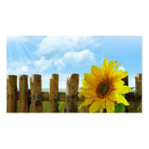 Sunflower Nature Beauty Business Card Templates