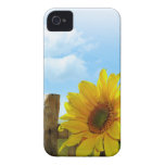 Sunflower Nature Beauty Case-Mate iPhone 4 Cases