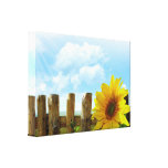 Sunflower Nature Beauty Stretched Canvas Print