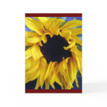 sunflower notecard