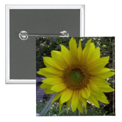 Sunflower, Old Orchard Beach, Maine Pins