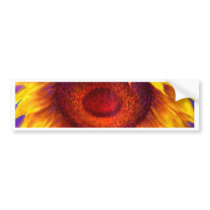 Sunflower Painting Art - Multi