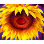Sunflower Painting Art - Multi photo sculptures