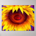 Sunflower Painting Art - Multi posters