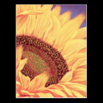 Sunflower Painting Flower Art - Multi postcards