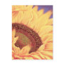 Sunflower Painting Flower Art - Multi Post Card