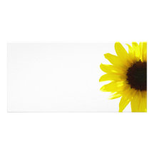 Sunflower Photo Card