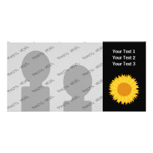 Sunflower. Photo Cards