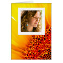 Sunflower Photo Frame cards