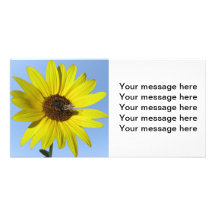 Sunflower Photocard Photo Cards