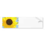Sunflower Picture Bumper Sticker bumper stickers