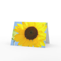 Sunflower Picture Greeting Card