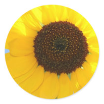Sunflower Picture Sticker