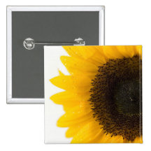 sunflower pin