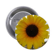 sunflower pin