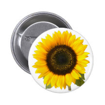 Sunflower Pinback Buttons