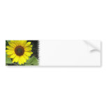 Sunflower Plant Bumper Sticker bumper stickers