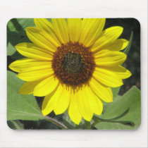 Sunflower Plant Mouse Pad
