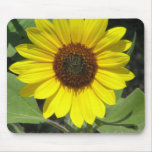 Sunflower Plant Mouse Pad mousepads