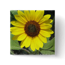 Sunflower Plant Square Pin