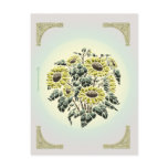 Sunflower Postcard