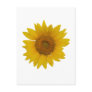 Sunflower Post Card