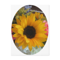 Sunflower Post Cards