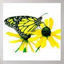 Sunflower posters