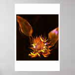 Sunflower Posters