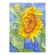 Sunflower posters