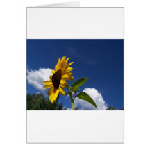 Sunflower Power! Greeting Card