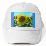 Sunflower Power--Women's Hat