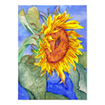 Sunflower posters