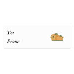 sunflower pumpkins business card