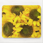 Sunflower Quad Mousepad