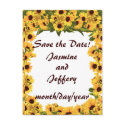 Sunflower Save the Date! postcards
