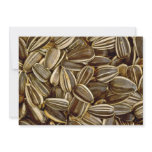 Sunflower seeds White flowers invitations