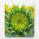 Sunflower Series mousepads