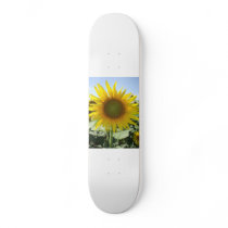 Sunflower Skate Board