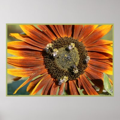 SUNFLOWER SOIREE PRINT by dequilla