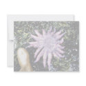 Sunflower Starfish invitations