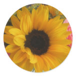 Sunflower stickers