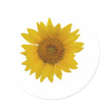 Sunflower Stickers