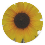 sunflower stickers