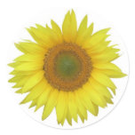 Sunflower Sticker