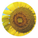 Sunflower stickers
