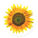 Sunflower Round Sticker