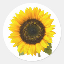 Sunflower Sticker
